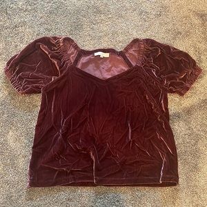 LOFT velvet top